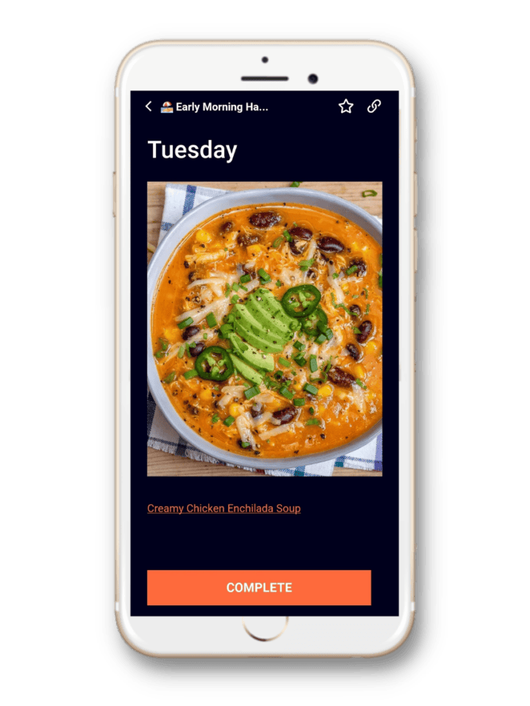 Early Morning Habit meal plan
